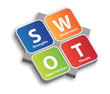 SWOT Risk Analysis