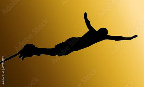 Illustration: Golden Back Male Bungee Jumper Golden Back Male Bungee Jumper