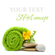 Spa concept - stones, green leaves and flower isolated on white