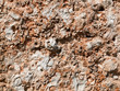 Photo: Rough limestone texture of old wall Rough limestone texture of old wall