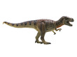 tyrannosaurus-rex isolated on white background