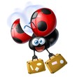 coccinella viaggiatrice