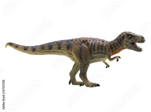 Photo: tyrannosaurus-rex isolated on white background tyrannosaurus-rex isolated on white background