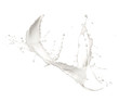high resolution milk splash, isolated on white background