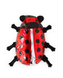 Lady bird