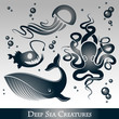 Deep Sea Creatures