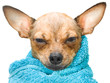 Photo: Life is good! Life is good!