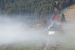 Bauernhasu im Nebel