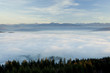 Über dem Nebel