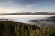 Schwarzwaldmorgen