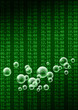 stock exchange bubbles