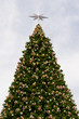 Christmastree in bangkok landmark