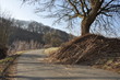 Odersbach Landschaft Lahnauen