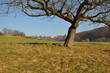 Odersbach Landschaft Lahnauen