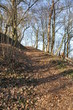 Weilburg an der Lahn Waldpfad