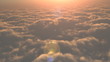 Flight to the sunset