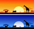 Safari background Safari background