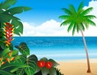 Tropical beach background Tropical beach background