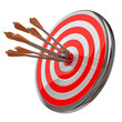 Target with  arrows isolated on white backgound