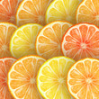 Citrous slices assortment