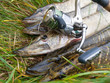 Pike and spinning reel