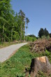 Foto: Stromberg Telegrafenberg Stromberg Telegrafenberg
