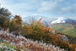 First winter snow and autumn colorful foliage on mountain