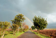 clima umido in campagna