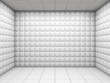 White empty padded room