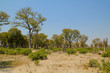 Steppe in Afrika