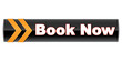 BOOK NOW ICON