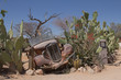 Autowrack in Solitaire