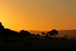 Sonnenuntergang in der Wüste