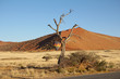 Sandwüste Namibia