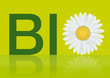 BIO, marguerite