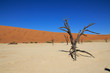 Sossusvlei Namibia Sossusvlei Namibia