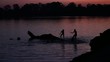 Children playing in the sunset