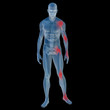 High resolution conceptual 3D anatomy High resolution conceptual 3D anatomy