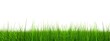 High resolution grass banner isolated