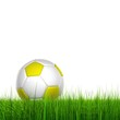 High resolution soccer ball in grass