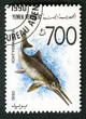 YEMEN REPUBLIC - CIRCA 1990: A stamp printed in Yemen shows Icht