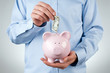 Male hand putting coin into a piggy bank