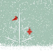 Sfondo invernale - Red Cardinal winter background Sfondo invernale - Red Cardinal winter background