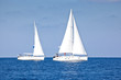 Sailing ship yachts with white sails