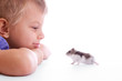 cute child with hamster