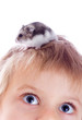 child with hamster