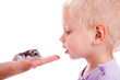 child and hamster