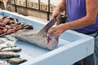 Preparing tuna at Marseille Fishmarket