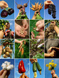 hands collage hands collage