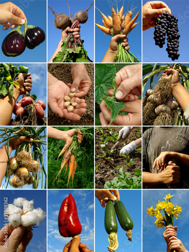 Photo: hands collage hands collage